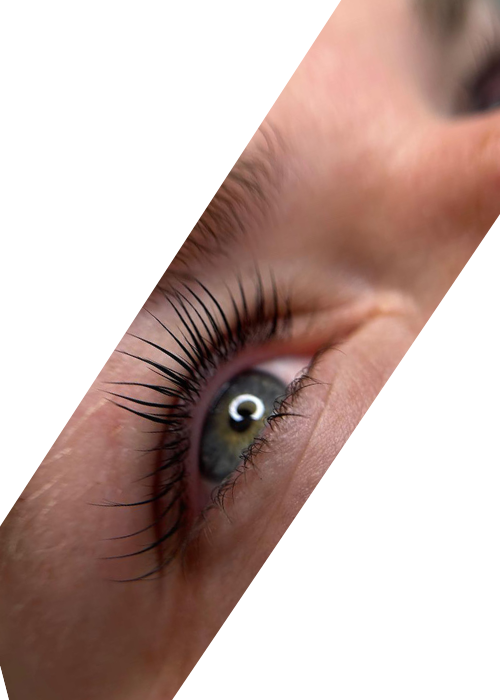 Korean lash set