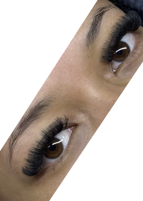 Mega volume lashes